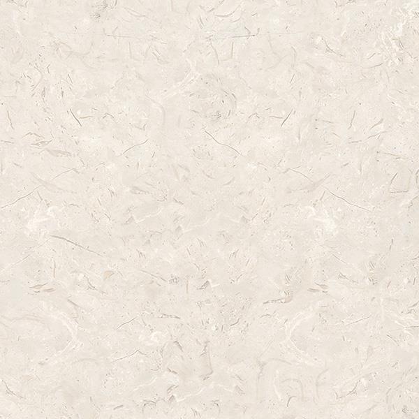 Light gray SASHA 60*60